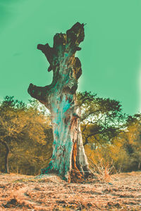 Digital composite image of trees on field