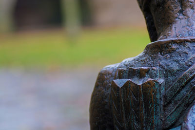Close-up of statue against water
