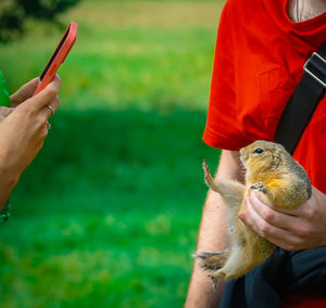 A guy is holding a gopher in his hand and a girl photographing they with a smartphone.
