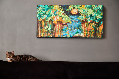 Cat against painting mounted on wall