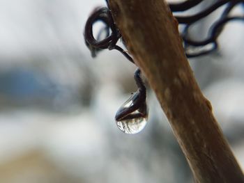 Close-up of raindrops on metal