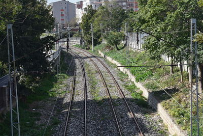 High angle view of railroad tracks amidst trees in city