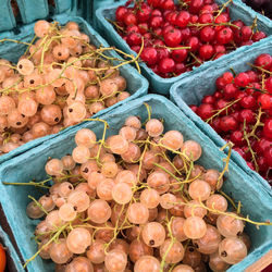 High angle view of fruits for sale in market