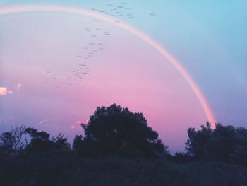 Scenic view of rainbow over trees