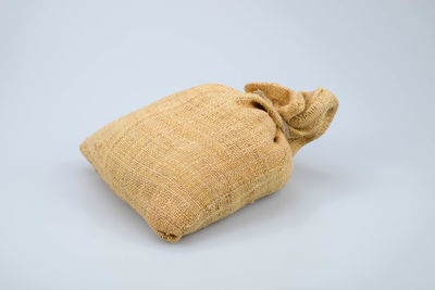 Close up view of an animal over white background