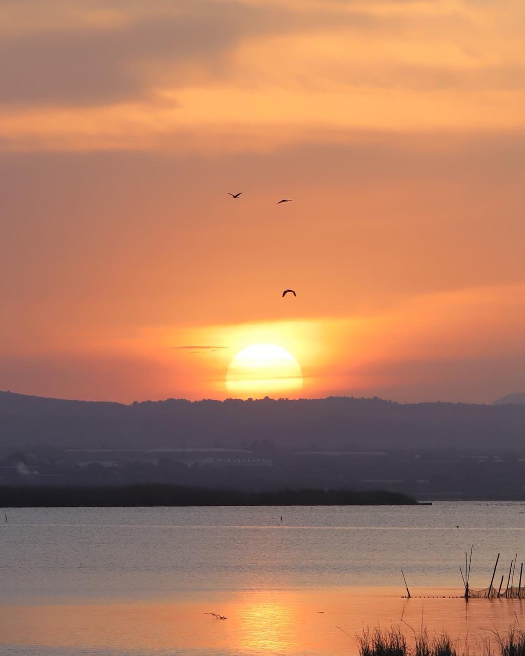 SCENIC VIEW OF SEA AGAINST ORANGE SKY