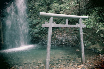 Scenic view of waterfall in forest