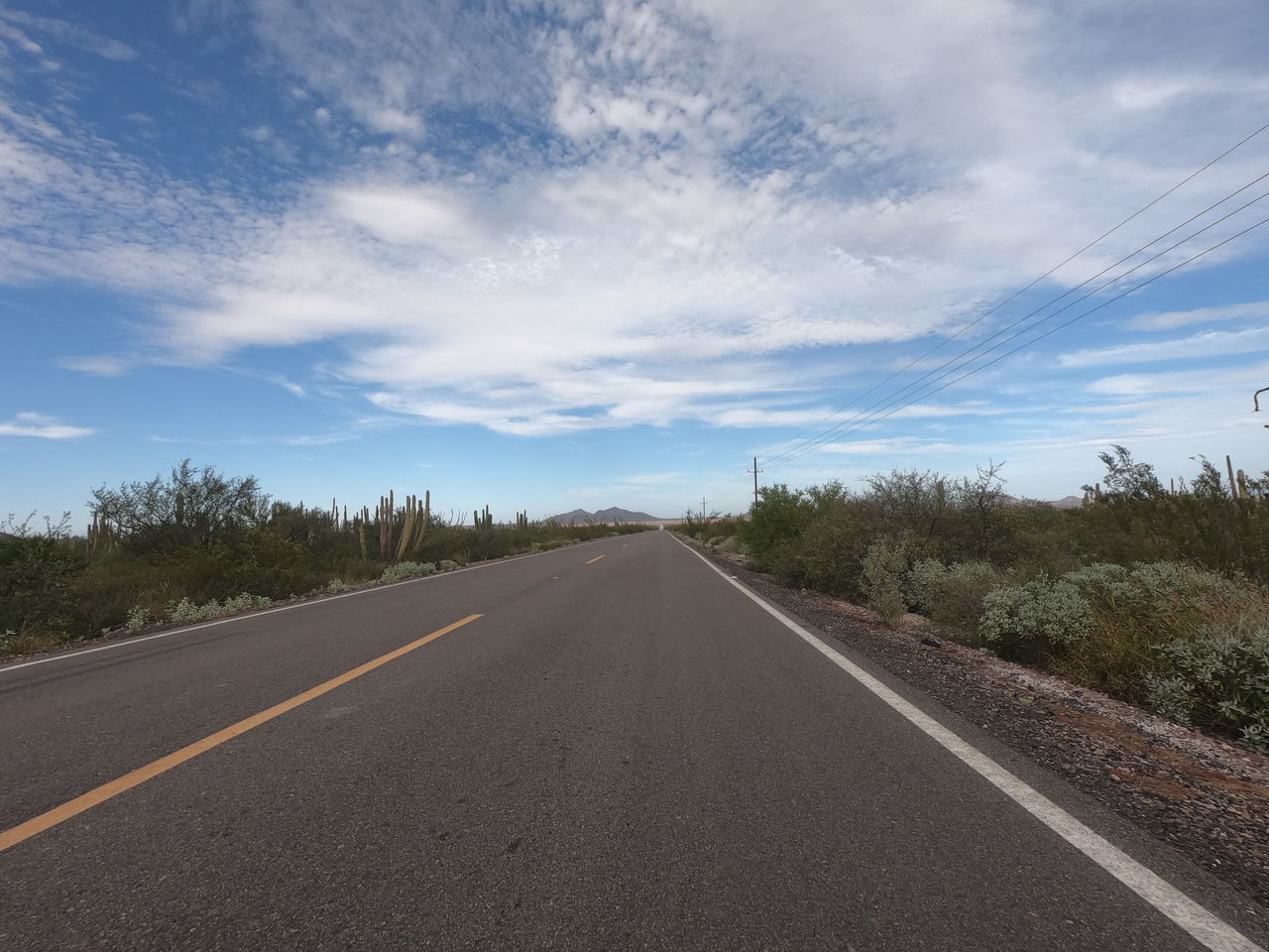 EMPTY ROAD ALONG TREES AND SKY