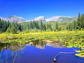 Scenic view of lake against blue sky