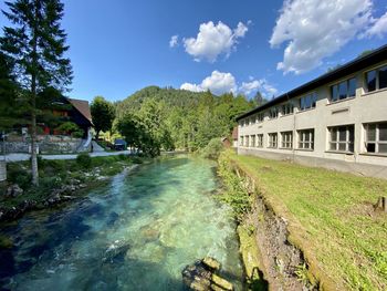 River amidst trees and buildings against sky