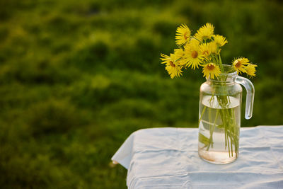 Close-up of drink in glass on field