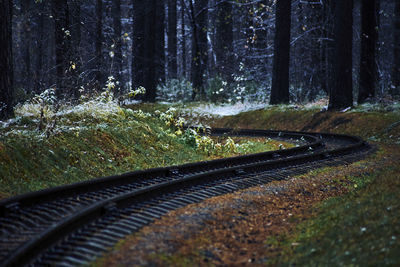 Railroad track amidst trees in forest