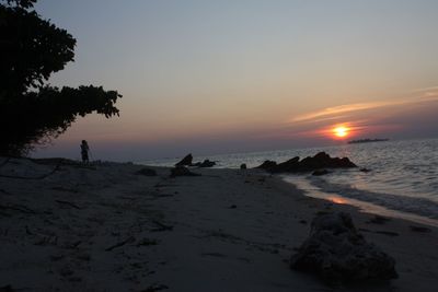 Scenic view of sea at sunset