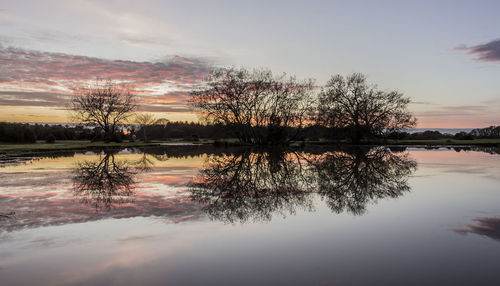 Reflection of trees in lake during sunset