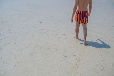 Low section of man standing on beach