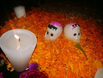 Close-up of flowers on table