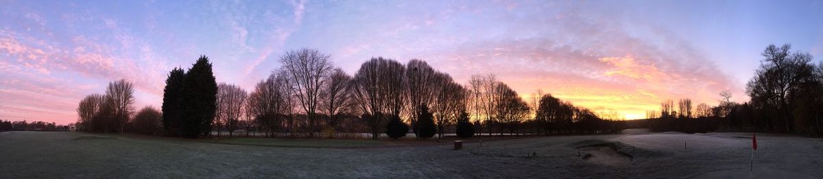 Bare trees on landscape at sunset