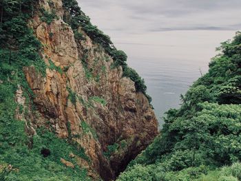 Wild cliff to the ocean in hyogo, japan