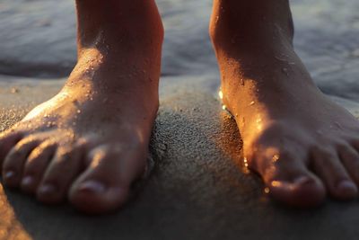 Low section of woman standing on shore at beach