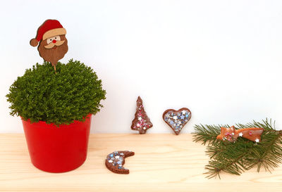 Potted plant on table against white background