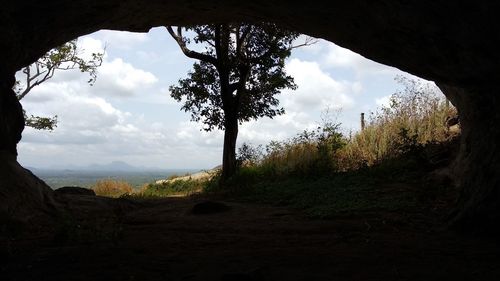 Silhouette trees in forest against sky