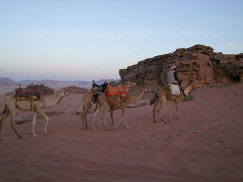 Panoramic view of desert against sky