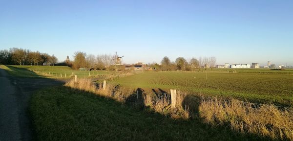 Scenic view of landscape against clear sky