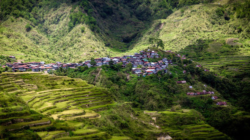 High angle view of trees on landscape