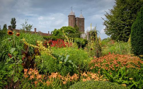 Scenic view of flowering plants and trees against sky