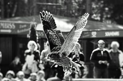 Close-up of plant against blurred background