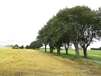 Scenic view of grassy field against sky