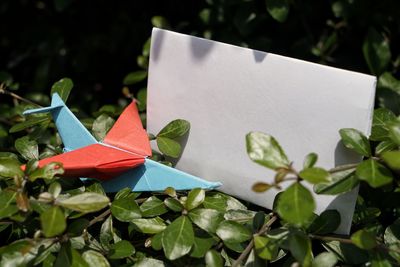 Close-up of paper plant against white background