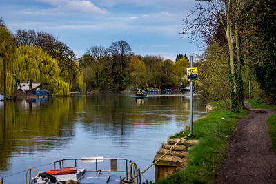 Trees by river against sky