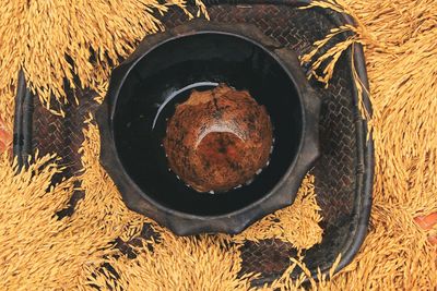 High angle view of bread in plate