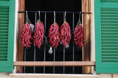 Close-up of red chili peppers hanging on built structure