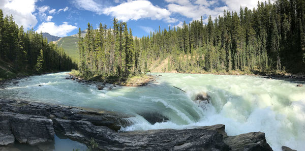 Scenic view of waterfall in forest against sky