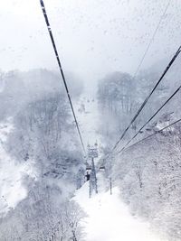 View of snow covered trees