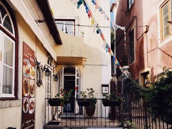 Low angle view of potted plants on building