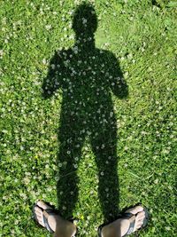 Shadow of man standing on grass