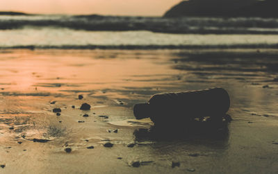 Close-up of crab on beach against sky during sunset