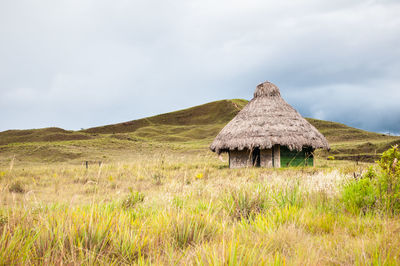 Thatched roof house on grassy field against sky