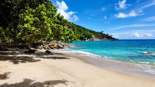 Scenic view of beach against sky