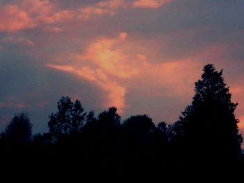 Silhouette of trees at sunset