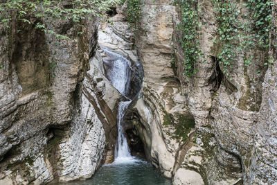 Scenic view of waterfall in forest