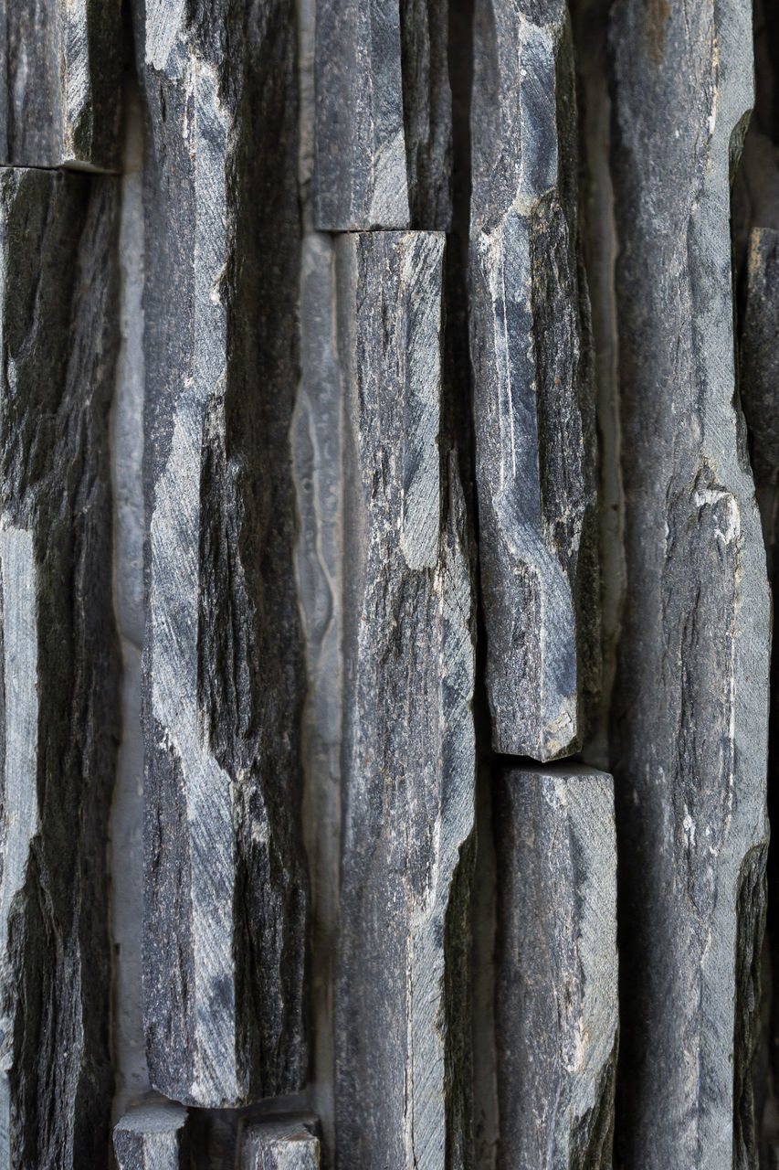 FULL FRAME SHOT OF TREE TRUNK WITH ROCK