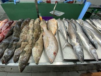 High angle view of fish for sale in market