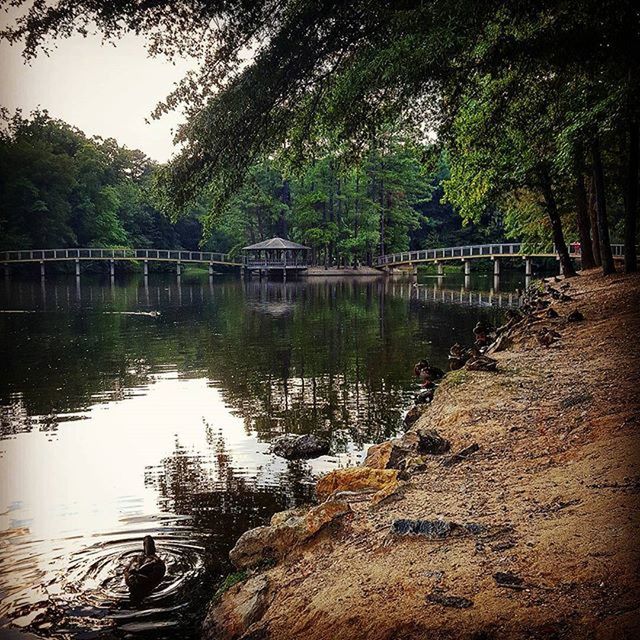 Universityofrichmond