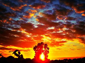 Silhouette of trees against cloudy sky