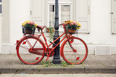 Bicycle with flowers in basket in front of white wall