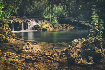 River flowing through forest